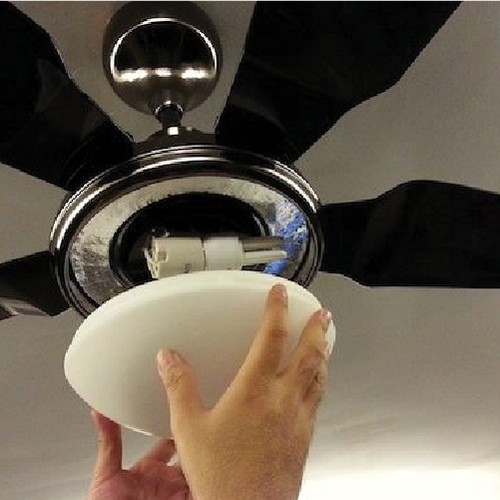 Ceiling Fan Installation Services