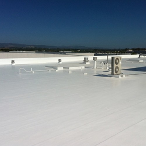 Hypalon Roof Coating Services